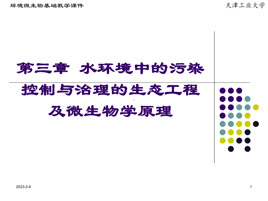 水环境中的污染控制与治理的生态工程及微生物学原理课件.ppt_第1页