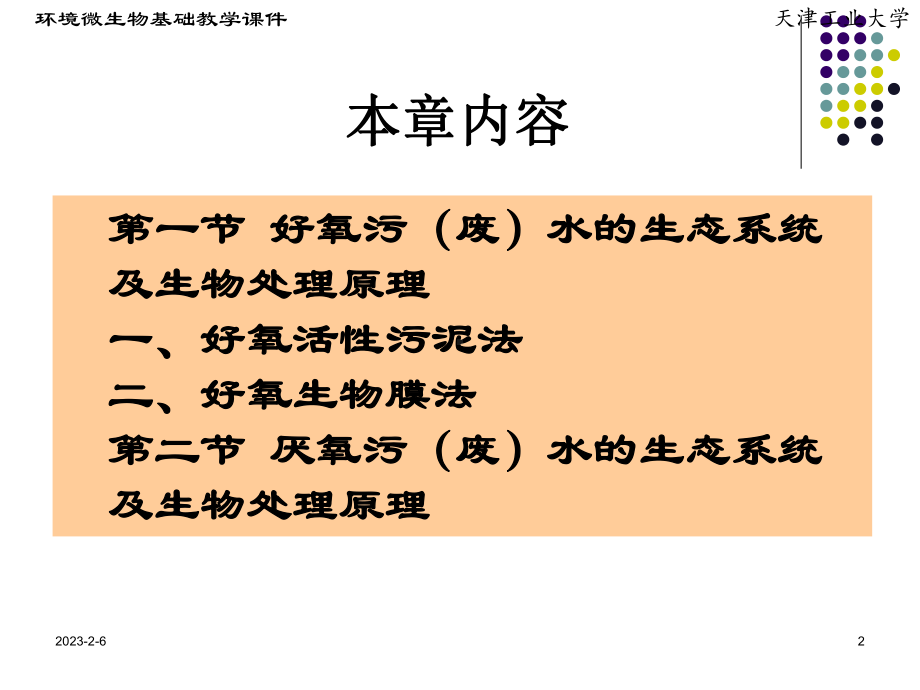 水环境中的污染控制与治理的生态工程及微生物学原理课件.ppt_第2页