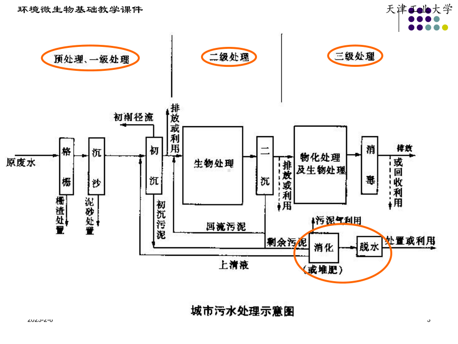 水环境中的污染控制与治理的生态工程及微生物学原理课件.ppt_第3页