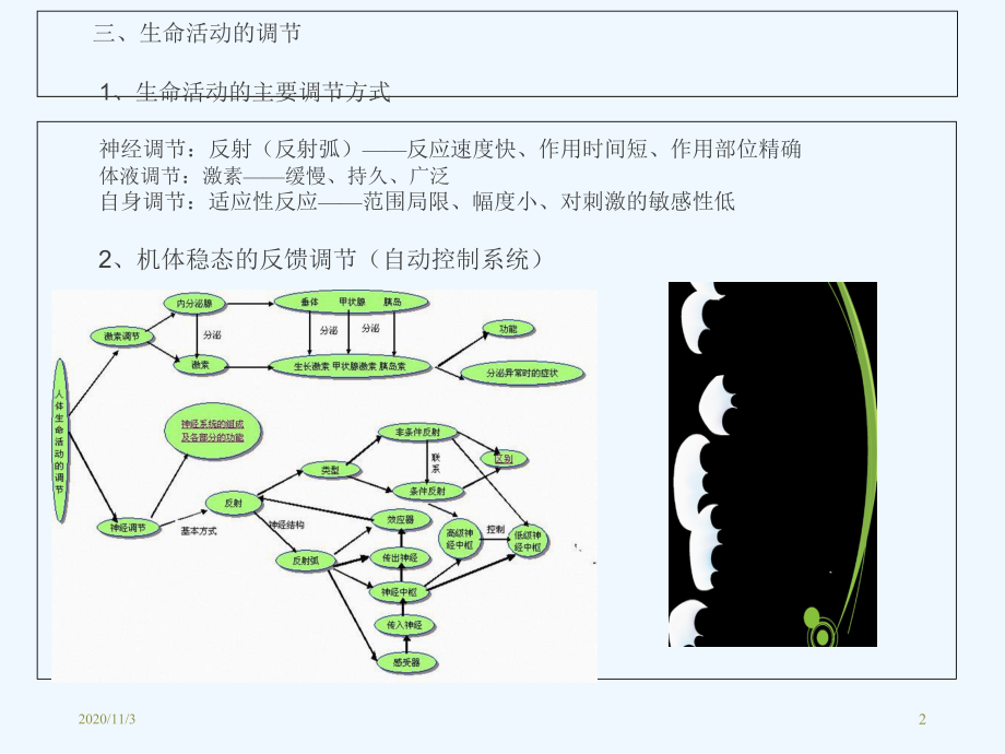 人体及动物生理学chapter绪论课件.ppt_第2页