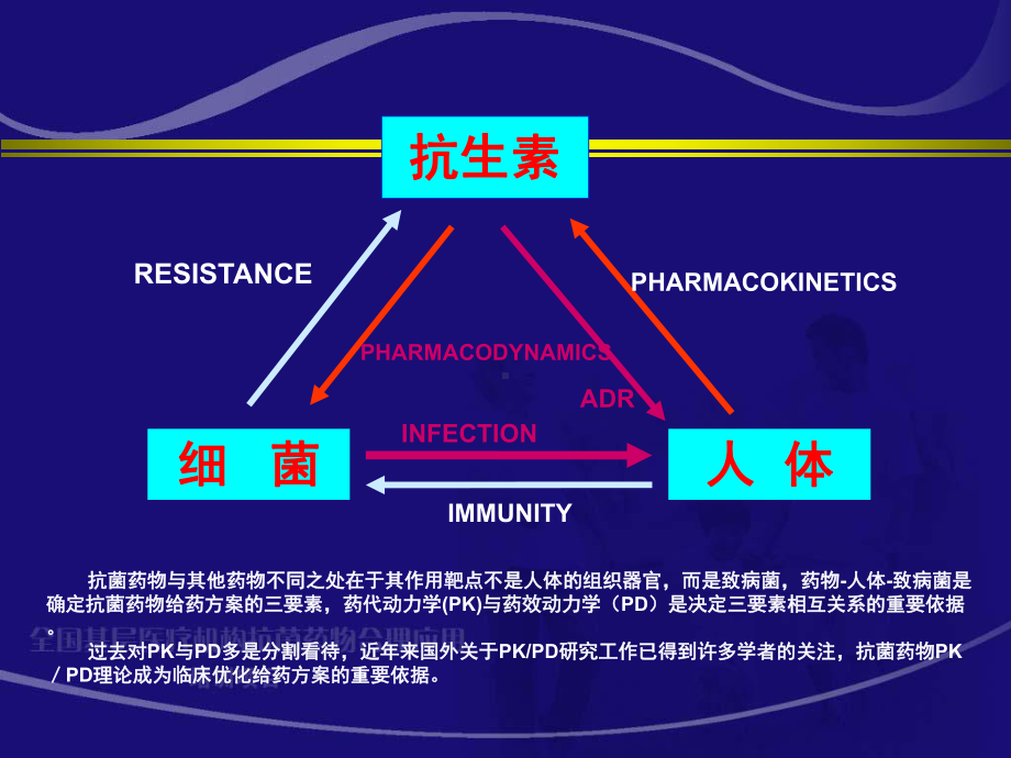 抗菌药物PKPD与临床应用研究课件.ppt_第3页