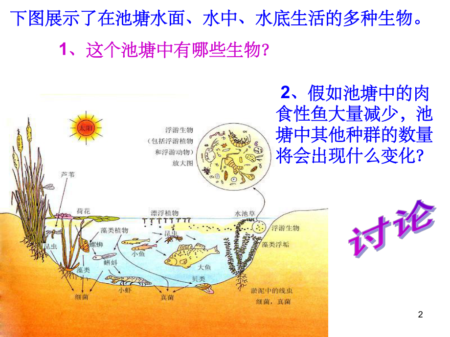 人教版教学课件群落的结构与演替定.ppt_第2页