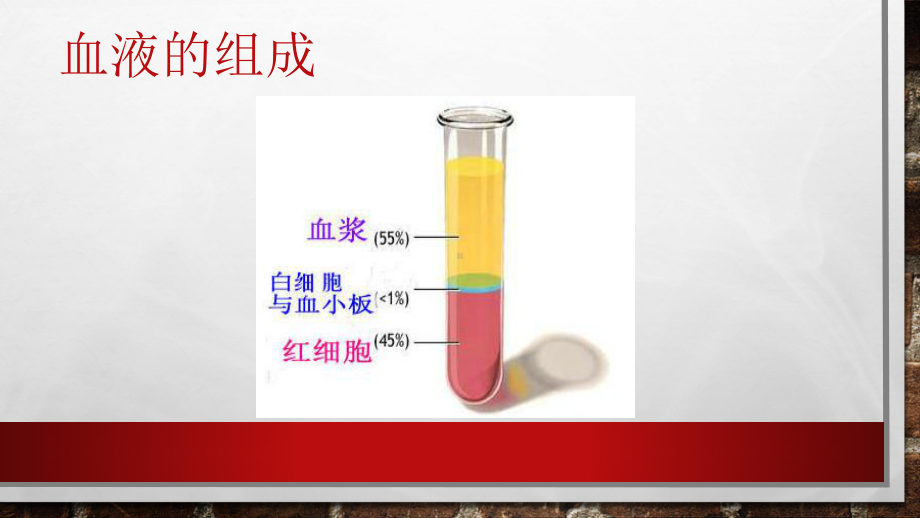 第一节红细胞检查课件.pptx_第2页