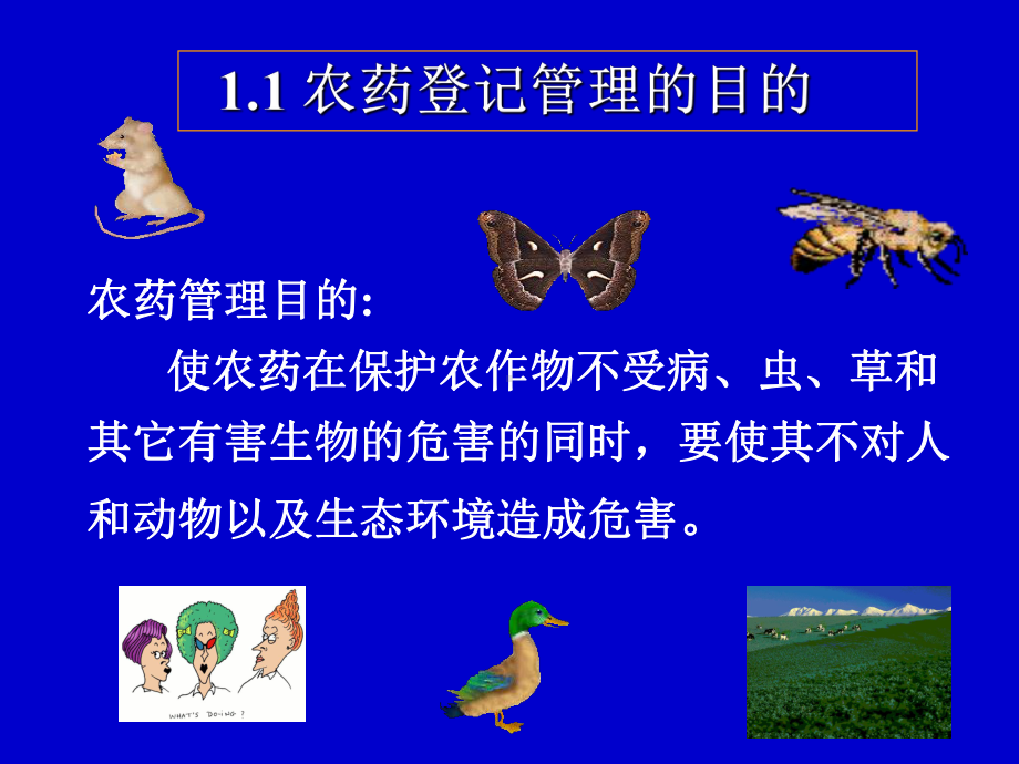 农药登记管理课件.ppt_第3页