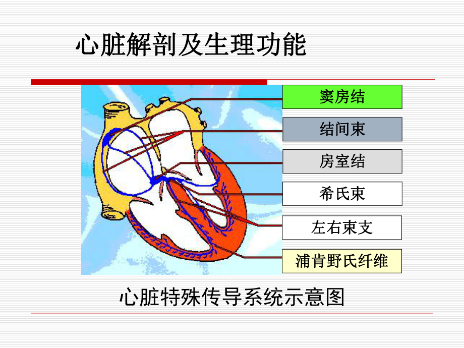 常见的心电图课件.ppt_第3页