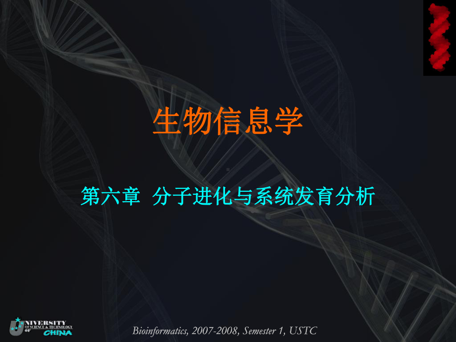 分子进化与系统发育分析课件.ppt_第1页