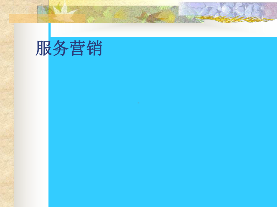 服务营销概论课件.ppt_第1页