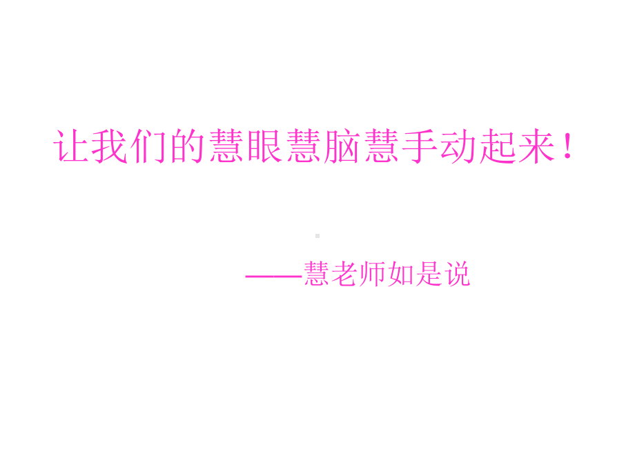 让我们的慧眼慧脑慧手动起来课件.ppt_第1页