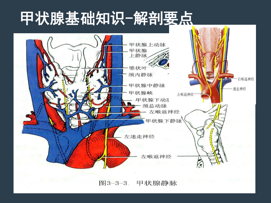 第24章颈部疾病课件.ppt_第3页