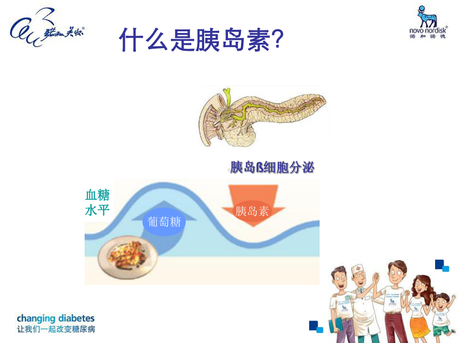 患教3我的好帮手胰岛素课件.ppt_第3页