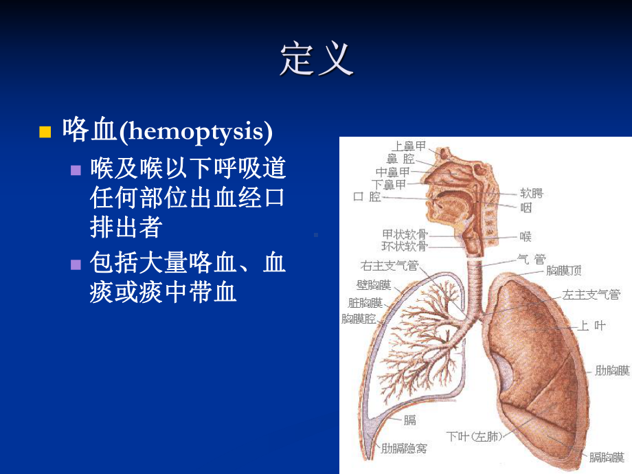 咯血发绀 课件.pptx_第2页