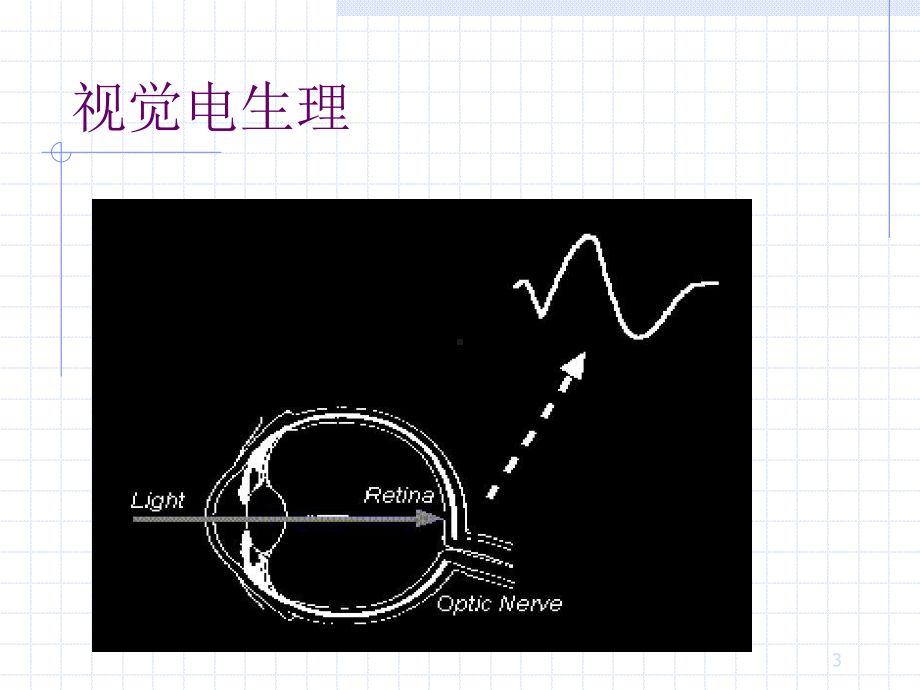 临床视觉电生理学课件.ppt_第3页