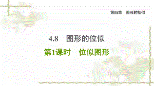 九年级数学上册第4章图形的相似8图形的位似第1课时位似图形习题课件.ppt