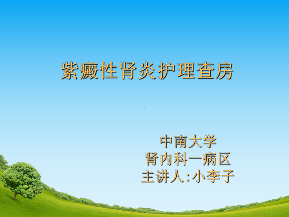 紫癜性肾炎护理查房课件.ppt_第1页