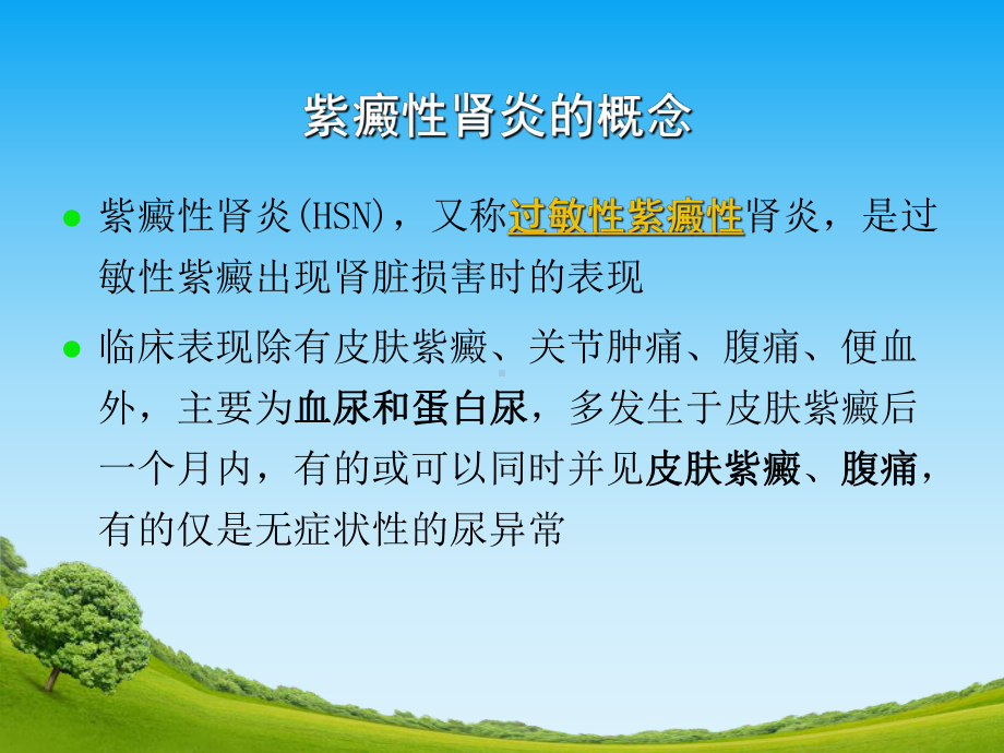 紫癜性肾炎护理查房课件.ppt_第2页