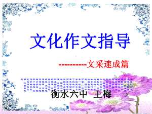 文化初中作文指导-文采速成篇课件.ppt