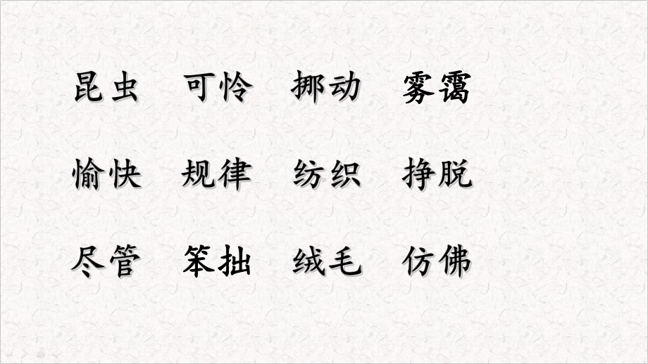 人教部编版二年级《小毛虫》课件1.ppt_第2页