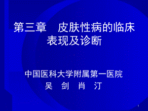 皮肤性病的临床表现及诊断课件.ppt