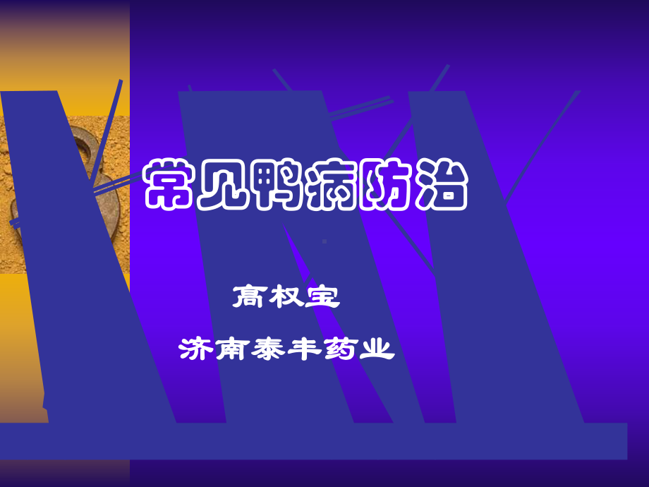 常见鸭病防治课件.ppt_第1页