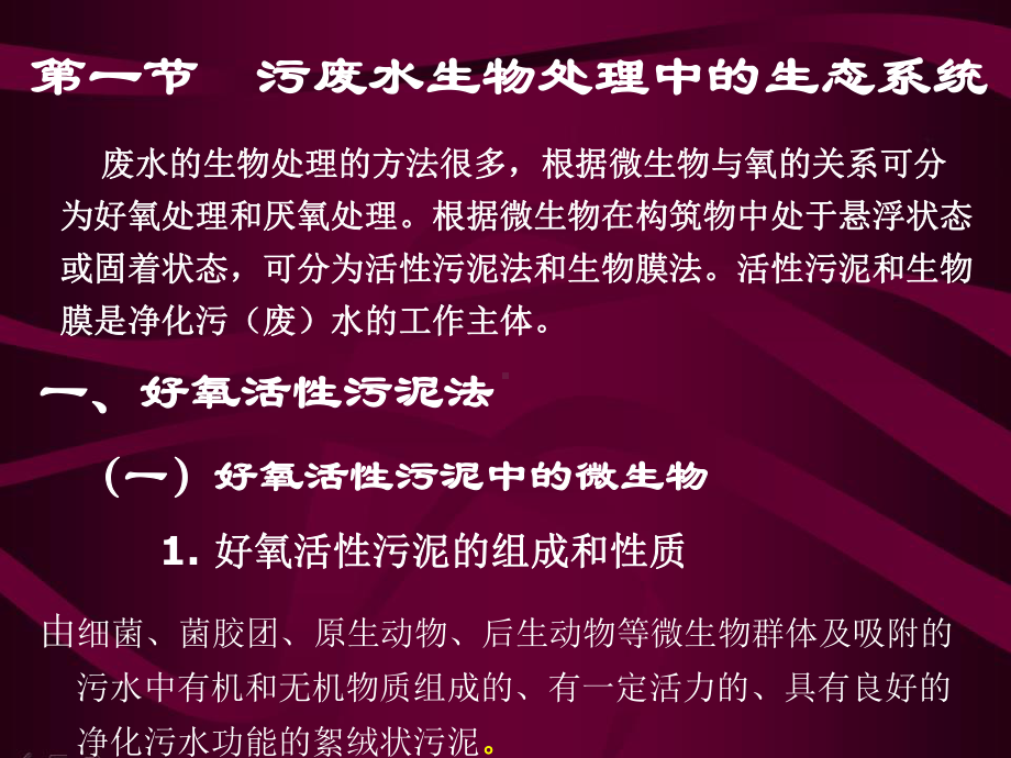 第九章水环境污染控制与治理的生态工程及微生物原理0708课件.ppt_第3页