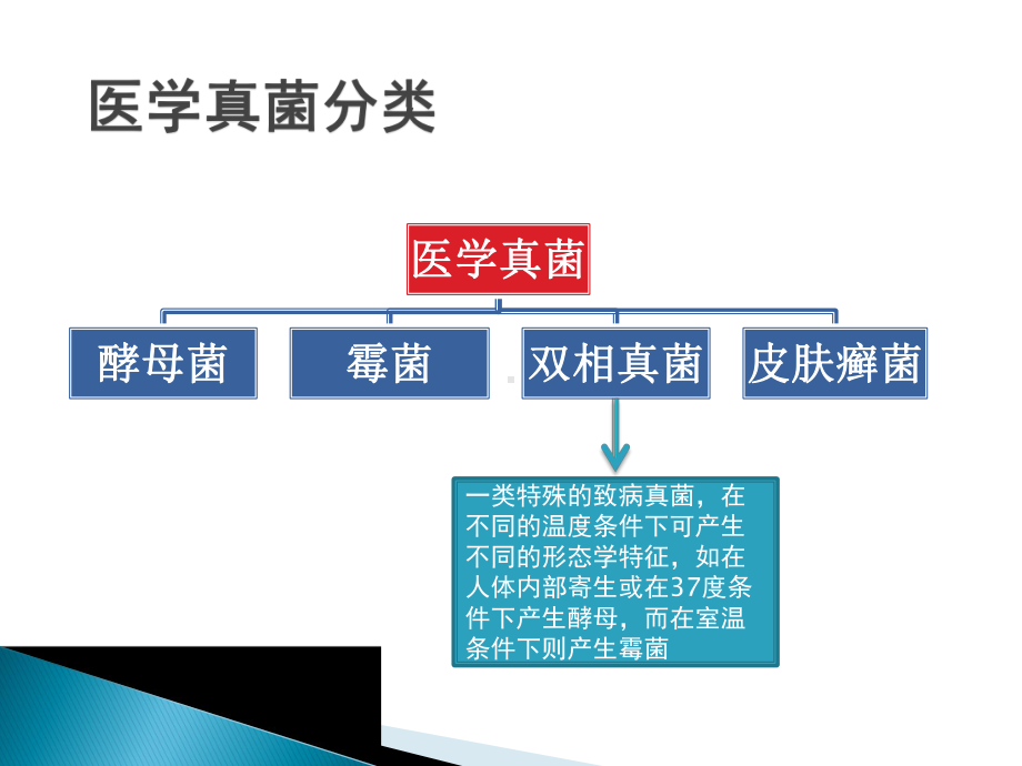 侵袭性真菌感染课件.pptx_第2页