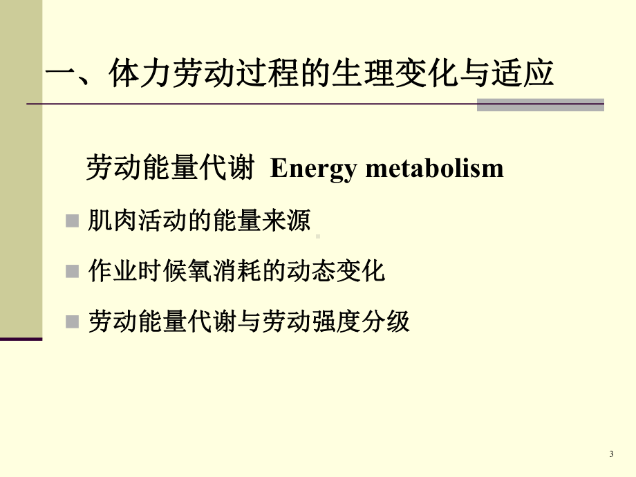 第一节职业生理学课件.ppt_第3页