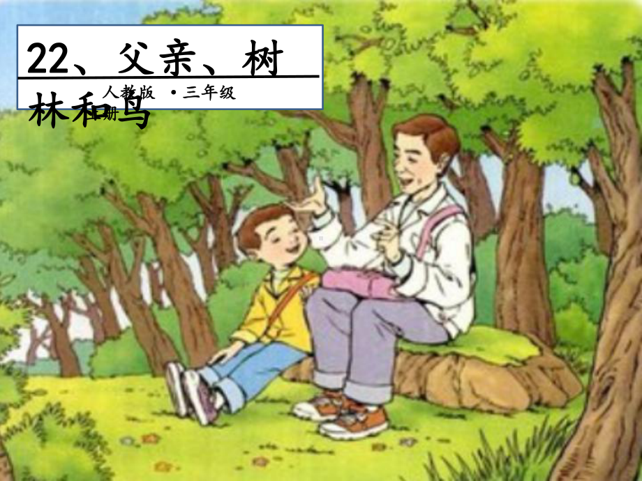 小学三年级语文上册第7单元22父亲、树林和鸟(第2课时)名师公开课省级获奖课件新人教版.ppt_第1页