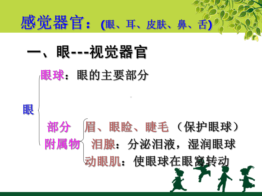 第八节感觉器官课件1.ppt_第2页