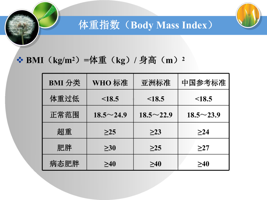 肥胖的病理生理(内分泌篇)课件.ppt_第3页