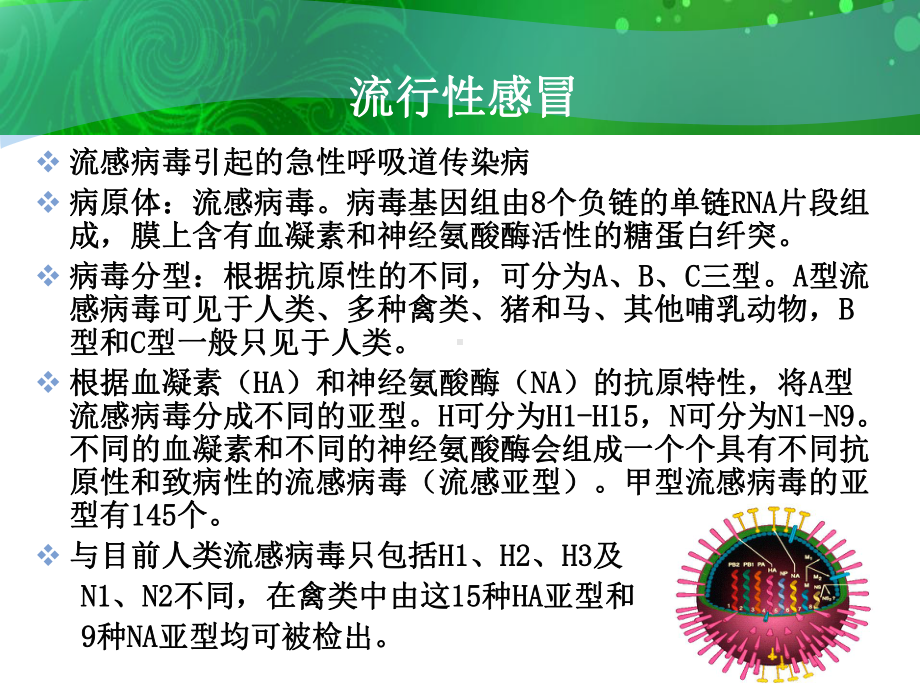 人感染猪流感预防控制技术指南试行解读浙江工课件.ppt_第3页