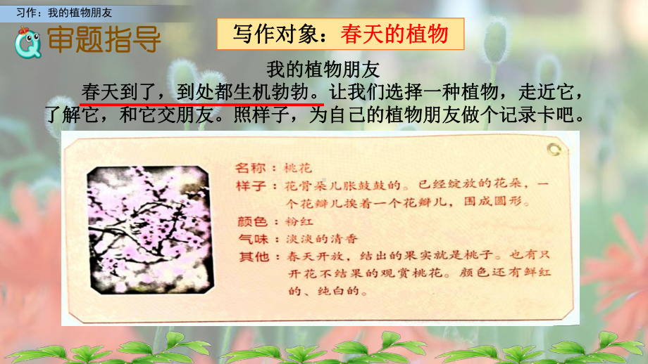 人教版部编版小学三年级语文下册《习作：我的植物朋友》教学课件.pptx_第3页