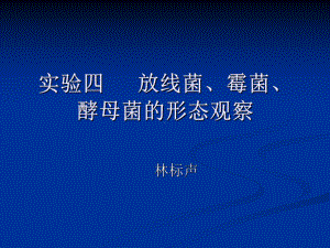 微生物实验四放线菌、霉菌、酵母菌的形态观察课件.ppt