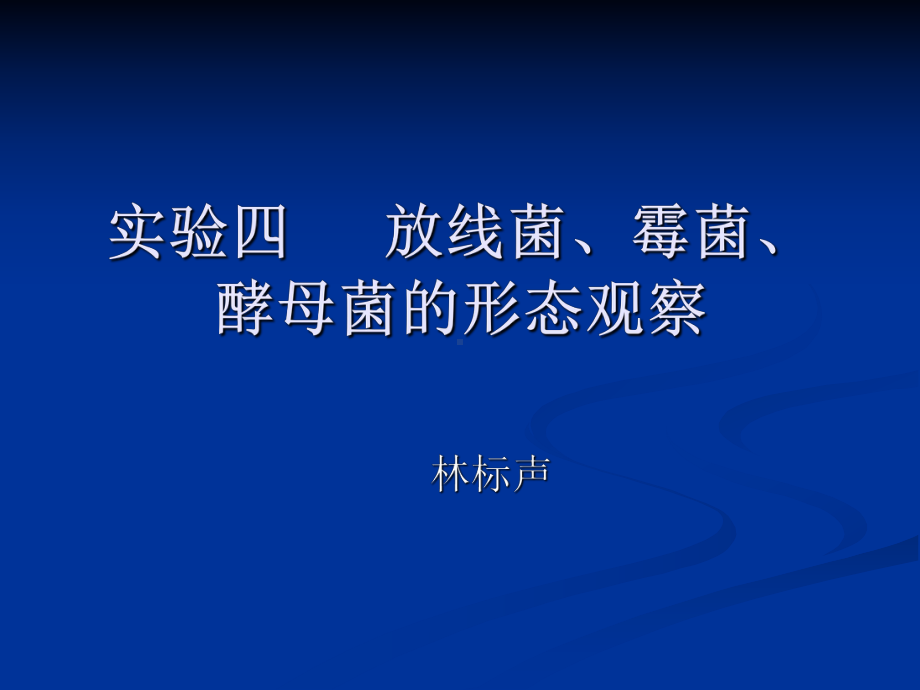 微生物实验四放线菌、霉菌、酵母菌的形态观察课件.ppt_第1页