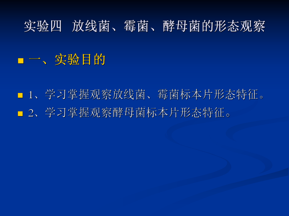 微生物实验四放线菌、霉菌、酵母菌的形态观察课件.ppt_第2页