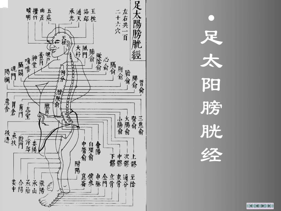 足太阳膀胱经20课件.ppt_第1页