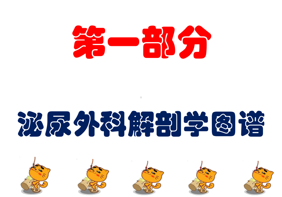 泌尿外科专科培训(新入科护士)精要课件.ppt_第3页