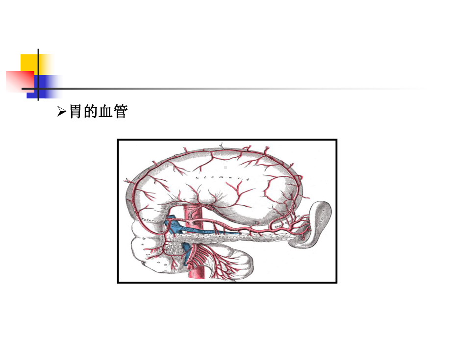 级溃疡病及并发症课件.ppt_第3页