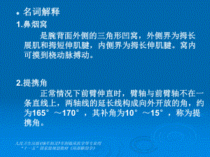 第7章上肢4名词、问答课件.ppt