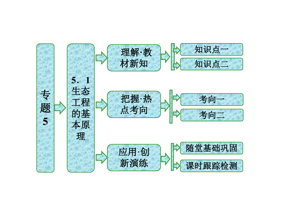 人教版高二生物选修三同步课件专题551生态工程的基本原理.ppt_第1页