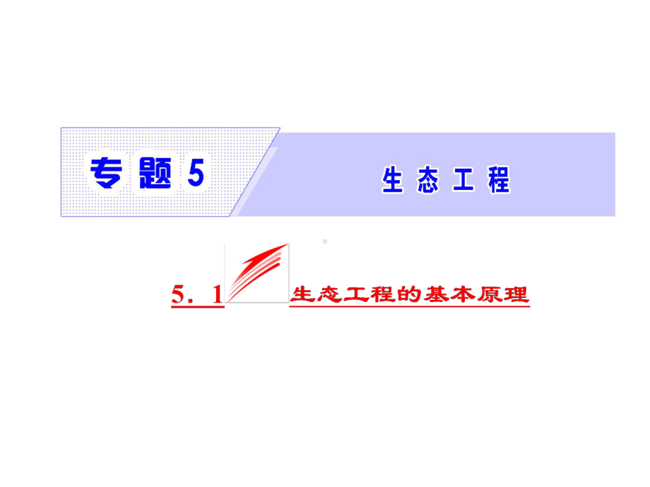 人教版高二生物选修三同步课件专题551生态工程的基本原理.ppt_第2页