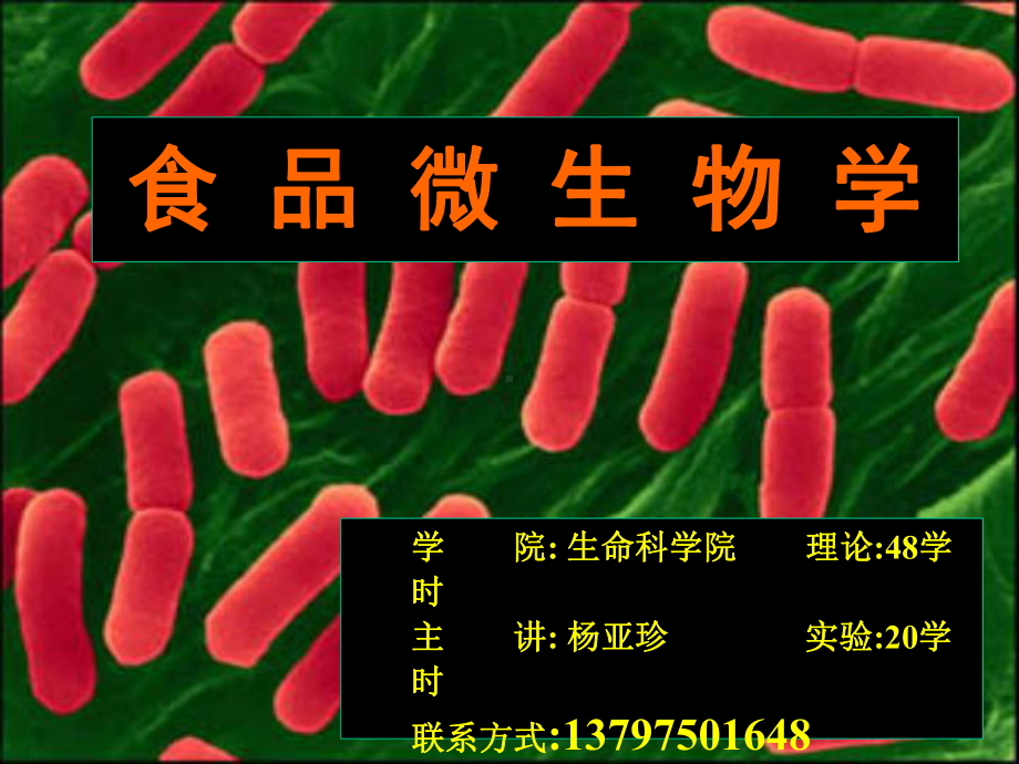 微生物学绪论[1]课件.ppt_第1页