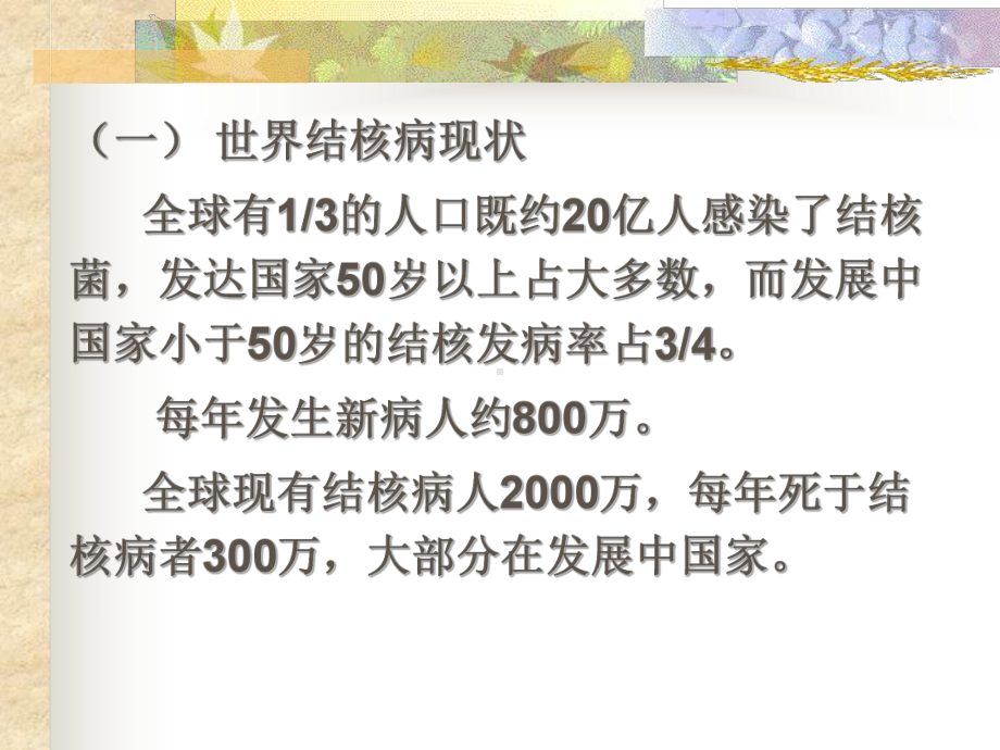 教学讲解课件肺结核64091.ppt_第2页