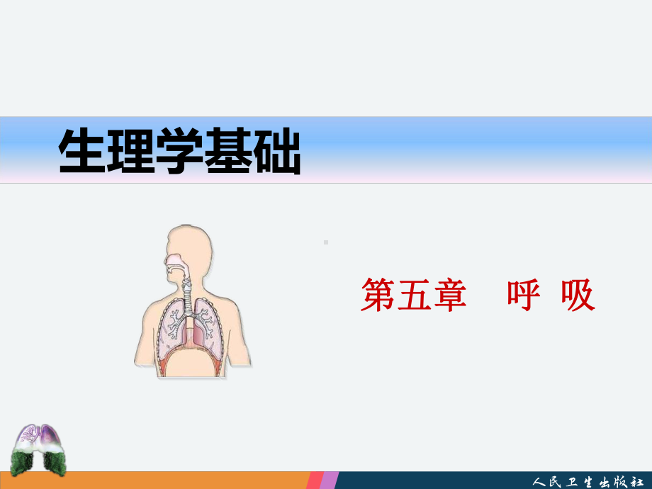 第五章生理学中职最新版课件.ppt_第1页