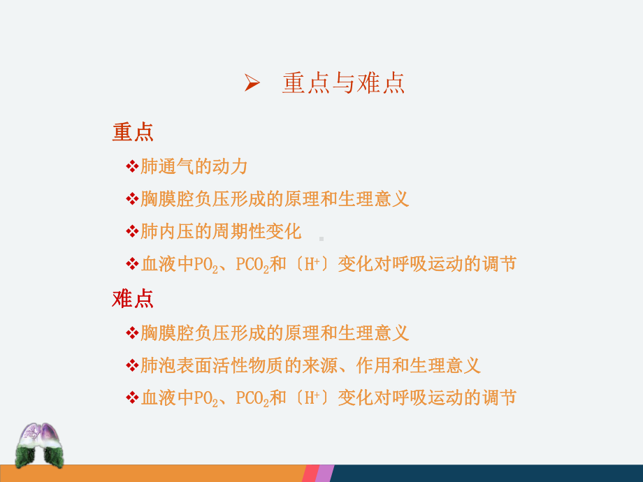 第五章生理学中职最新版课件.ppt_第3页