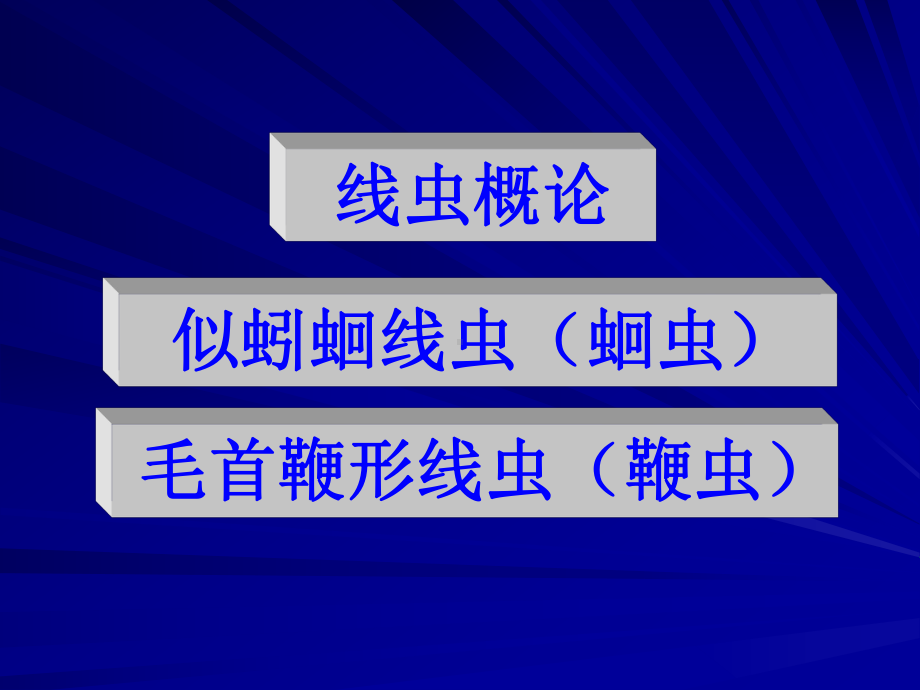 本7线虫概论、蛔虫、鞭虫课件.ppt_第1页