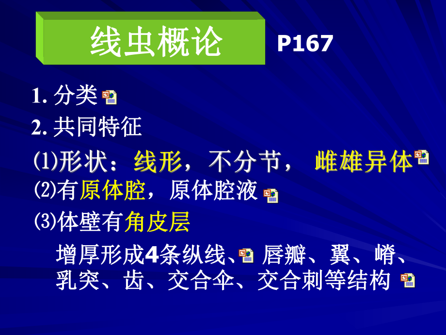 本7线虫概论、蛔虫、鞭虫课件.ppt_第2页