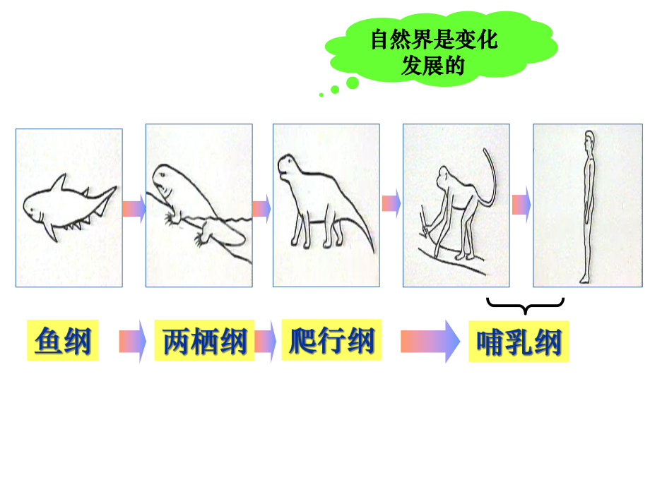 哲学与人生第五课(一)用发展的观点看待人生过程课件.pptx_第3页