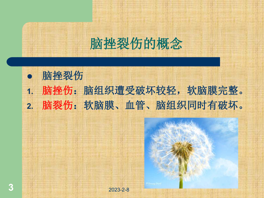 脑挫裂伤精编课件.ppt_第3页