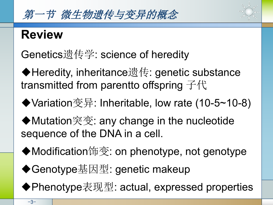 畜牧微生物学第六章微生物的遗传与变异课件.ppt_第3页