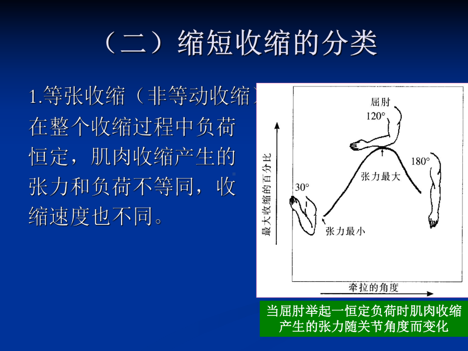 第三节肌肉收缩的形式与力学特征宁夏大学课件.ppt_第3页